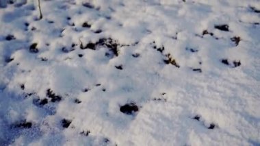 The sun is shining on the snow and light is reflected in it. Close-up of the ground with a thick layer of snow on it. Between the snow, the black frozen ground shines through. Many footprints can be
