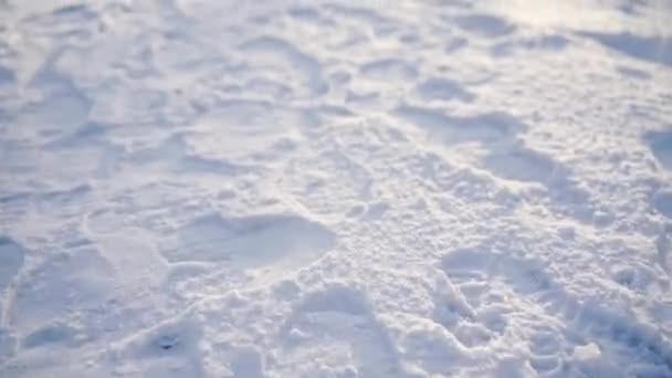 Close Ground Thick Layer Snow Many Footprints Can Seen Snow — Vídeo de Stock