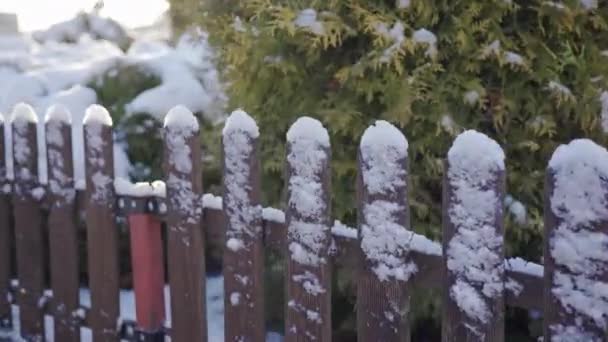 Close Fence Fence House Winter Day Fence Covered Fresh Snow — Video