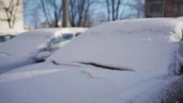 Many Parked Cars Residential Parking Lot Thick Layer Fresh Snow — Video Stock