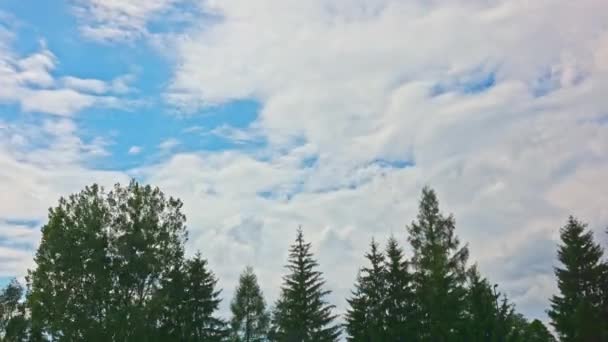 Fák Felett Felhők Rétegekben Mozognak Ami Kölcsönhatásba Hozhatja Egymást Időzített — Stock videók