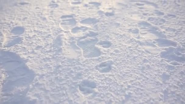 Close Dari Tanah Dengan Lapisan Tebal Salju Atasnya Banyak Jejak — Stok Video