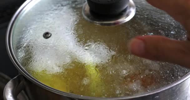 一壶沸腾的汤的特写 过了一会儿 一个男人的手出现了 手打开盖子 露出锅子里的东西 锅里有沸腾的肉汤和水泡 里面有蔬菜和 — 图库视频影像