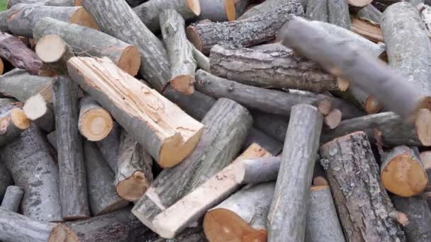 Pohled Zblízka Shluk Řezaných Kusů Dřeva Malých Kmenů Tam Přidá — Stock video