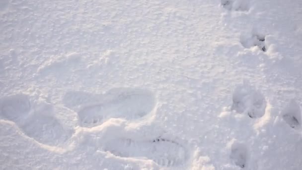 Close Ground Thick Layer Snow Many Footprints Can Seen Snow — стокове відео