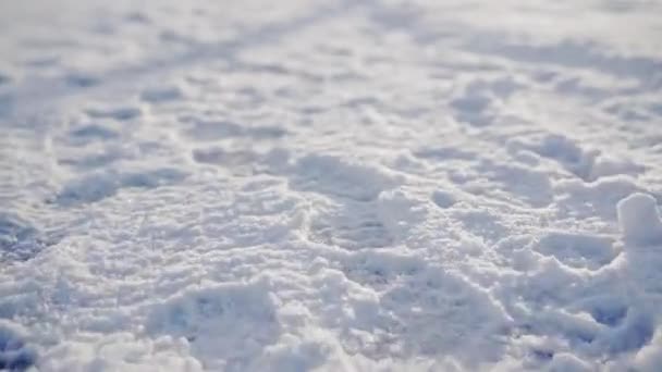 その上に厚い雪の層と地面のクローズアップ 雪の上にはたくさんの足跡が見える 足跡の一部は男が残した 太陽が雪に輝き 光がその中に映し出される — ストック動画