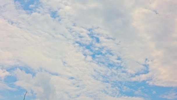 Крупный План Показывает Облака Пересекающиеся Сливающиеся Голубом Небе Фильм Снят — стоковое видео