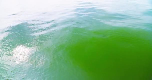Отдаленный Вид Рябь Озерной Воды Белом Зеленом Цвете — стоковое видео