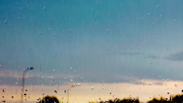 Ströme Von Regen Und Wassertropfen Die Die Fensterscheibe Hinunterlaufen Aufgenommen — Stockvideo