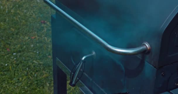 Metal Bir Izgaranın Yakın Plan Görüntüsü Duman Fırında Pişmiş Şeker — Stok video