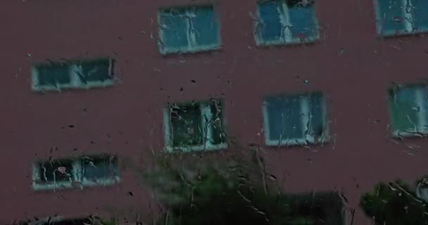Spadający Deszcz Moczy Przednią Szybę Podczas Jazdy Tyłu Mokrej Szyby — Wideo stockowe