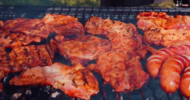 두꺼운 조각으로 신선한 고기는 그레이트에 구워집니다 거룩한 공기에서 향신료 고기를 — 비디오