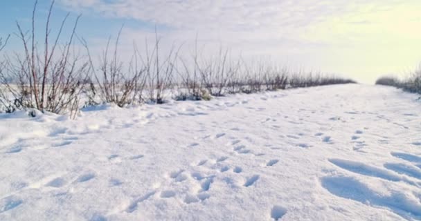 Товстий Шар Свіжого Снігу Тягнеться Горизонту Відстані Немає Нічого Окрім — стокове відео