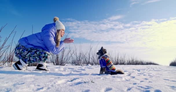 Jugando Juntos Nieve Dueña Fue Dar Paseo Con Perro Perro — Vídeo de stock