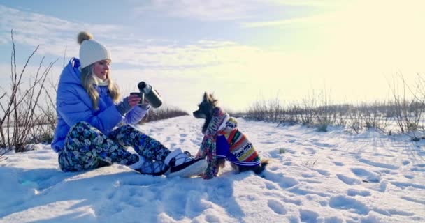 Холодний Зимовий День Провів Містом Подорож Собакою Пустелю Дівчина Собака — стокове відео
