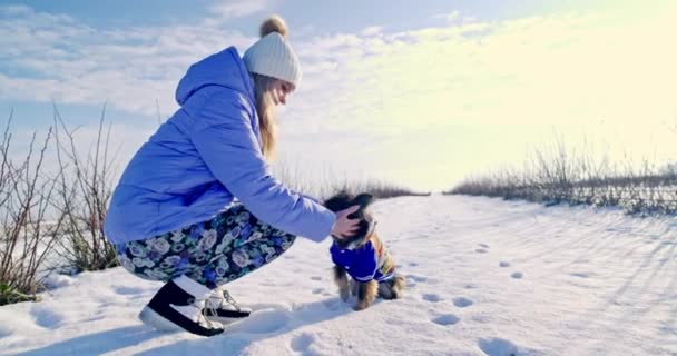 冬の帽子とパフィーのジャケットを着た女性が犬と一緒に散歩している 犬は飼い主の前に座っている 女性は犬の上を走り 頭に愛情を込めてストロークします — ストック動画