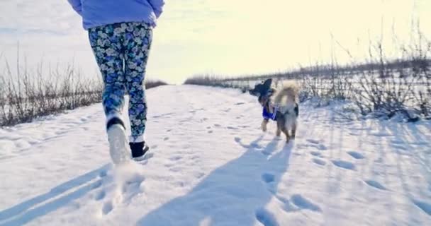 女性は 発疹なしで犬を散歩する 従順な犬は飼い主の足で歩いています 女性の足だけが見える 犬と飼い主が雪の中を歩いている — ストック動画