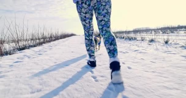 Bir Kadın Küçük Cins Köpeği Birlikte Yürüyüşe Çıktılar Dışarısı Buz — Stok video