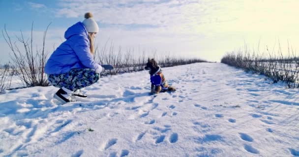 パッファージャケットを着て帽子をかぶった女性が冬の散歩に出かけた 彼女は雪の中をカラスにし 手袋をかぶっている 女性の隣に座っている小さなシャギー犬 — ストック動画