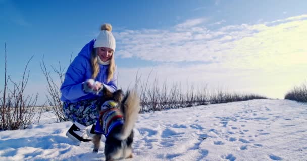 Passeio Inverno Com Cão Deserto Dona Dos Cães Está Brincando — Vídeo de Stock
