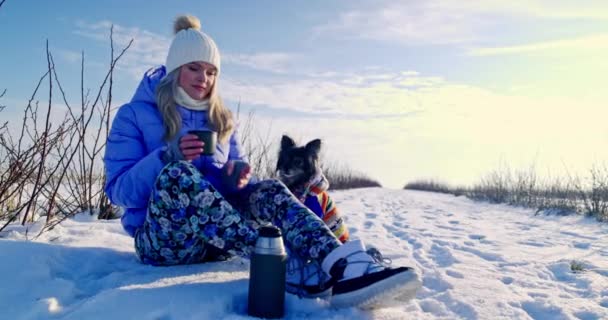 Διάλειμμα Χειμερινό Ταξίδι Σκύλο Ιδιοκτήτρια Και Σκύλος Της Ξεκουράζονται Ενώ — Αρχείο Βίντεο