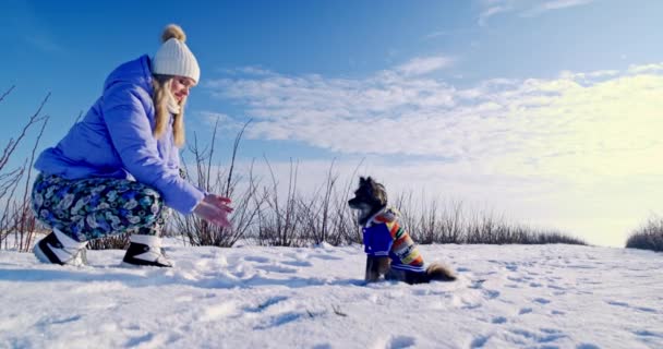一个女人蹲在雪地里的狗面前 这只狗穿着一件五颜六色的帽衫 那女人和狗在雪地里玩耍 这只狗追它的主人 — 图库视频影像