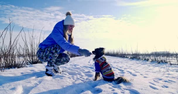 Женщина Приводит Себе Собаку Хозяин Дает Собаке Команду Собака Прыгает — стоковое видео