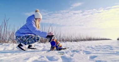 Kış yürüyüşü sırasında, köpek sahibi köpeklerinin başına bir başlık takar. Etrafta bir sürü kar var. Ufukta ağaçları ve yapraksız çalıları görebilirsin..