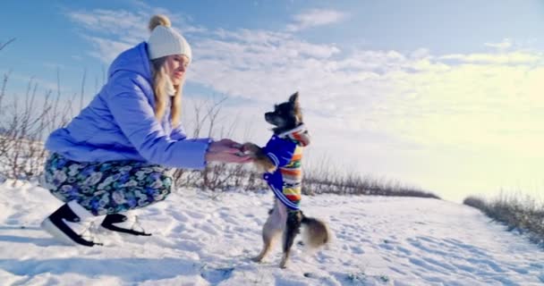 여자는 그녀의 개에게 밖에서 새로운 트릭을 가르치고있다 뒷다리에 서있다 후드와 — 비디오