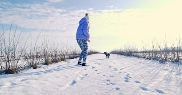 Καθώς Περπατούσε Σκύλος Απομακρύνεται Ελαφρώς Από Τον Ιδιοκτήτη Του Γυναίκα — Αρχείο Βίντεο