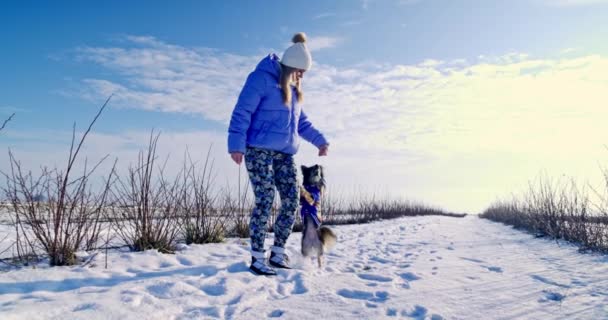 Kapüşonlu Ceket Giymiş Küçük Bir Köpek Dışarıda Sahibiyle Vakit Geçiriyor — Stok video