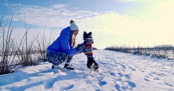 Proprietarul Croșetează Lângă Câinele Sprijină Animalul Stea Două Labe Fata — Videoclip de stoc