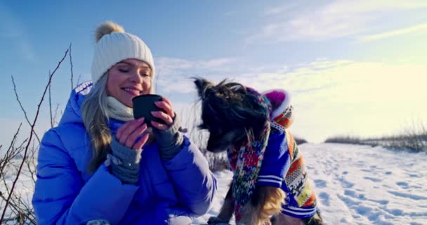 Hund Lutar Sig Med Sina Framtassar Mot Sin Ägare Närbild — Stockvideo