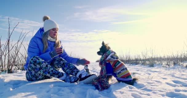 若い犬の飼い主がペットに足をあげる方法を教えています 女性は彼女の犬をカラフルなフード付きのジャケットと長いスカーフで着た 犬は雪の上に座ってコマンドを実行します — ストック動画