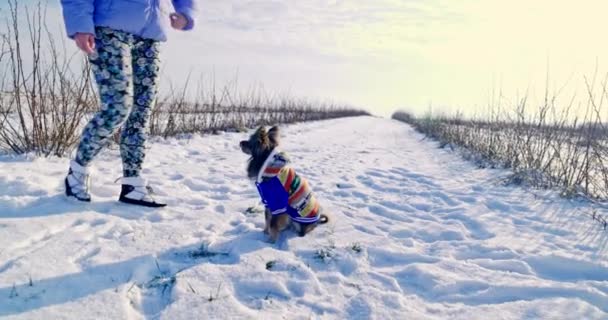 Blick Auf Eine Große Freifläche Hintergrund Eine Winterlandschaft Mit Weißem — Stockvideo