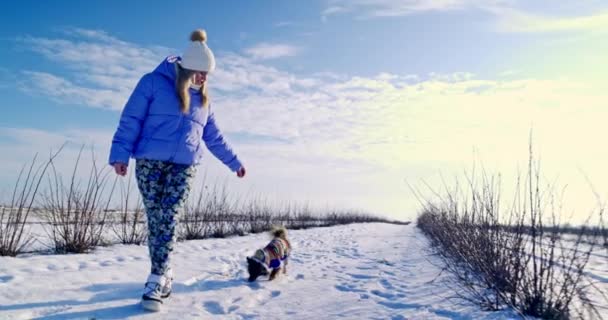 雪の厚い層が地面に横たわっている 遠くでは 葉なしで木や茂みを見ることができます 女性と犬が一緒に散歩に出かけました 犬は発疹なしで歩いています — ストック動画