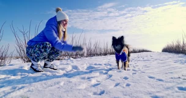 Uma Mulher Loira Tem Pequeno Cão Desgrenhado Ela Sai Para — Vídeo de Stock