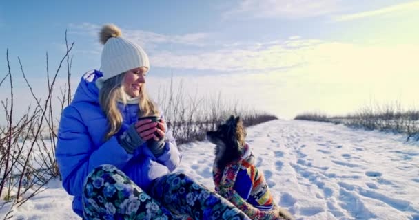 女性は雪の中に座っている間に犬に話しかけます 少女は温かみを保つために熱い飲み物を飲みながら雪の中に座っている 犬は飼い主を見つめている — ストック動画