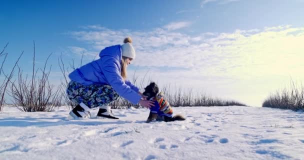 Μια Γυναίκα Αναγκάζει Σκύλο Της Καθίσει Στο Χιόνι Γυναίκα Σκύβει — Αρχείο Βίντεο