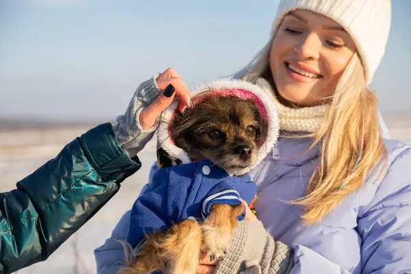 Close-up of a dog held in her arms by its owner. The woman is hugging the dog and smiling. The dog is wearing a warm sweatshirt and has a hood on its head. The hand of the other person can be seen