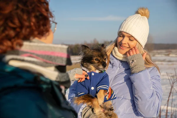 A blurry figure of a woman reaching out her hand to a dog and stroking it. The other woman, meanwhile, is holding the dog in her arms, The dog is wearing a blue button-down sweatshirt.
