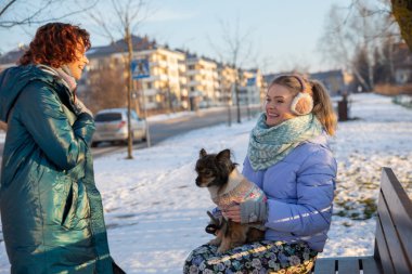 Neşeli bir sarışın parkta bir bankta oturuyor ve kucağında bir köpek tutuyor. Yanında arkadaşı duruyor, o da onunla konuşuyor. Onların her ikisi de gülüyor. Kış geldi ve kaldırımda kar var..