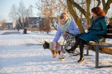 Bankta oturan bir kız köpeğini kaldırıma koyar. Kaldırımlar karla kaplı. Kadın, onun yanında oturan arkadaşıyla konuşuyor. - Ne? Parkta buluşacağız..