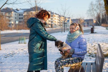 Bir kadın bankta oturur ve köpeğini kucağına alır. Yanından geçen bir kadın köpeklerin kafasını okşar. Her iki kadın da kalın kışlık ceket giyiyor..