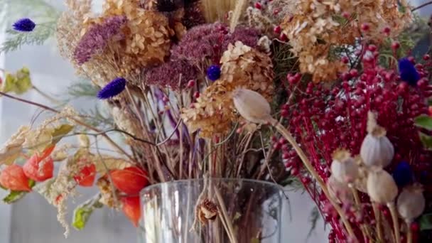 Tym Ujęciu Bliska Szklane Wazony Dumnie Prezentują Szereg Suszonych Kwiatów — Wideo stockowe