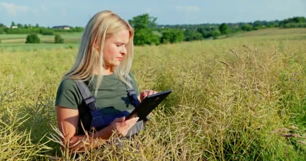 在一片湿透了阳光的田野中 一位金发碧眼的女农手里拿着一块石碑 察看着一个成熟的菜荚 她将它的外观与在线图像相比较 使用了一个专用的农业应用程序 — 图库视频影像