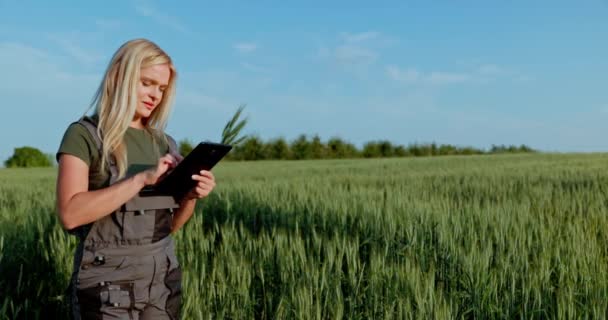 Nesta Cativante Foto Estoque Agricultor Diligente Segura Tablet Uma Mão — Vídeo de Stock