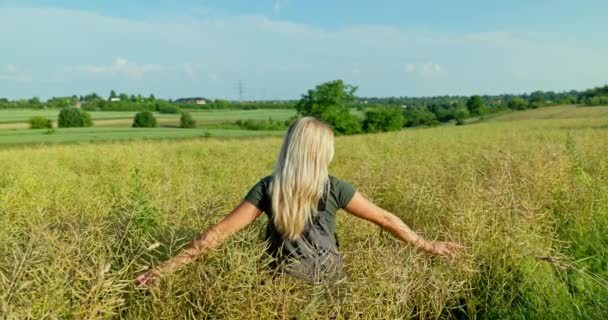Standing Amidst Ripening Rapeseed Fields Woman Flowing Blonde Hair Gently — Stock Video