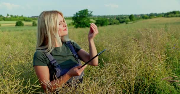 一位专业的女农民站在成熟的菜籽地里 一手拿着一块石板 一手拿着一个菜荚 对照网上图片仔细检查庄稼的状况 — 图库视频影像