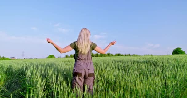 Une Agricultrice Professionnelle Tient Milieu Son Champ Céréales Mûrissantes Europe — Video